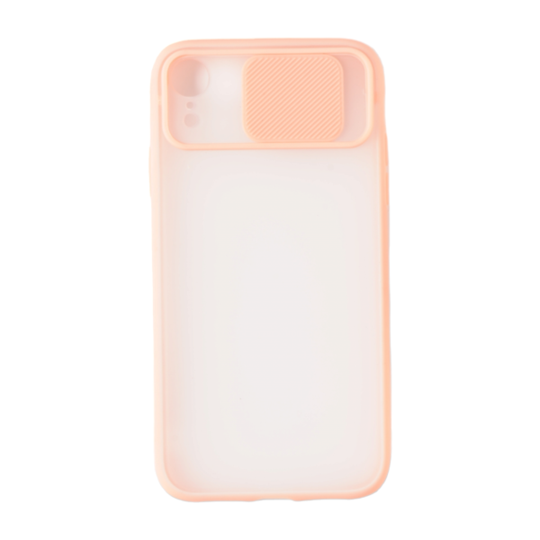 Case transparente con salmón iPhone XR